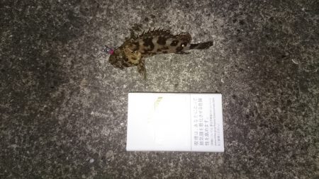 結局ガシリング！