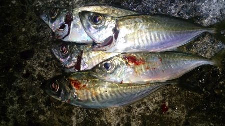 まとまった群れ