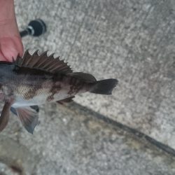 大掃除を抜け出して少しだけ