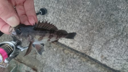 大掃除を抜け出して少しだけ