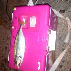 フル武装で行って来ました