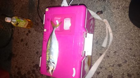 フル武装で行って来ました