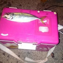 フル武装で行って来ました