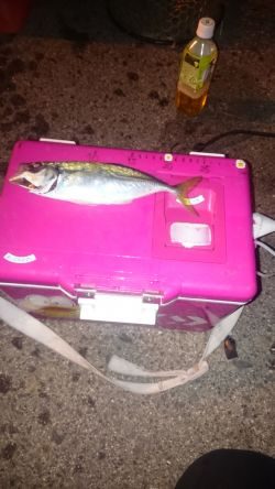 フル武装で行って来ました