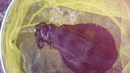 やっと、ｷﾀ━(ﾟ∀ﾟ)━!笑