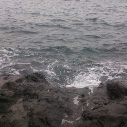 ラスト釣行かな！