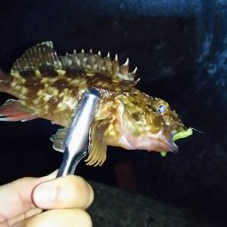 入魂に行ってきました。