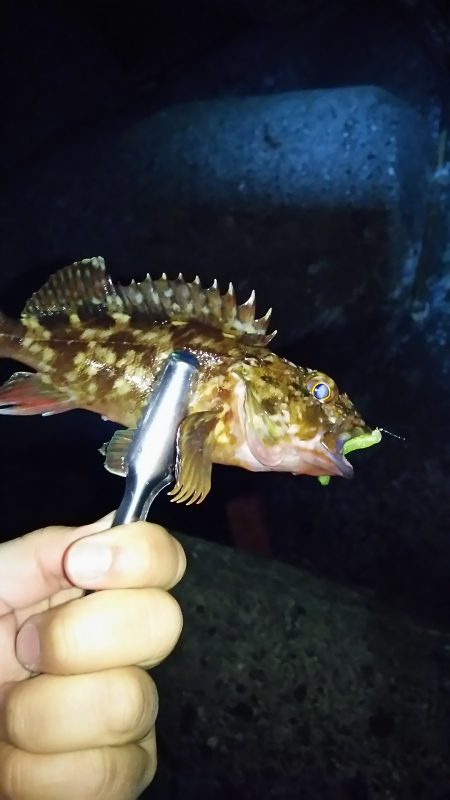 入魂に行ってきました。