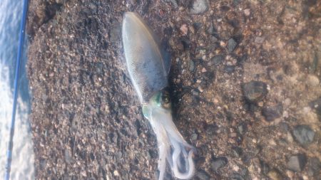 今期ラスト釣行！