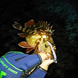 快適なメバリング！