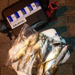 アジング釣行記