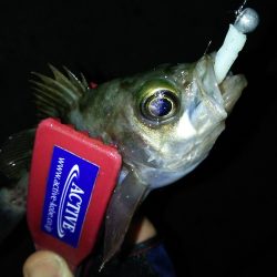 神戸港からランガン