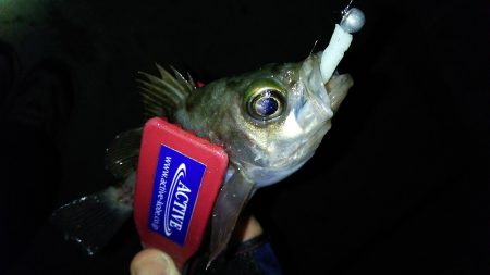 神戸港からランガン