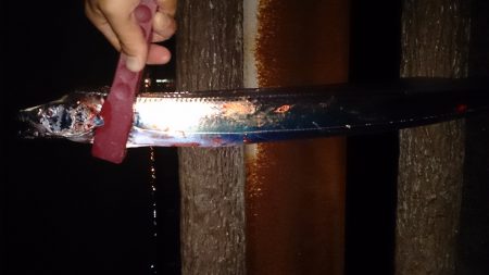 大津川尻高場で太刀魚1匹ゲット