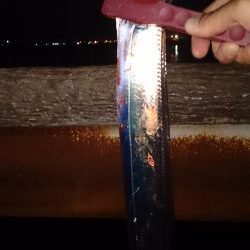 大津川尻高場で太刀魚1匹ゲット