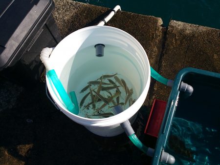 激渋　シーズン終了？？？