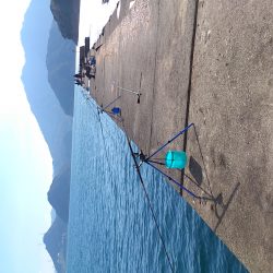 釣り日和だが激渋