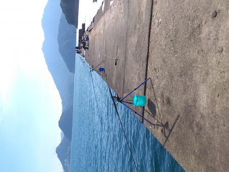 釣り日和だが激渋