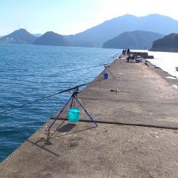 釣り日和だが激渋