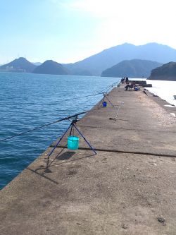 釣り日和だが激渋