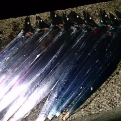 自作調整テンヤで…