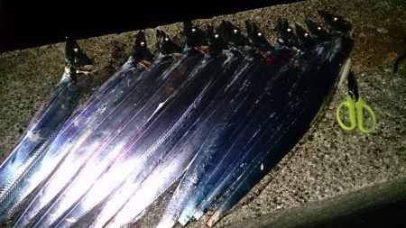 自作調整テンヤで…