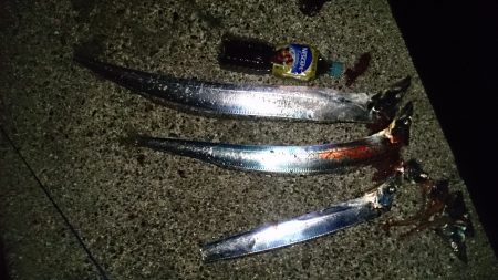 釣れるとデカい！が醍醐味