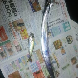 久しぶりの釣行です！