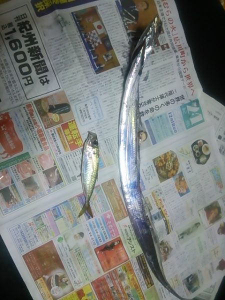 久しぶりの釣行です！