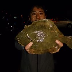 肉厚カレイの季節