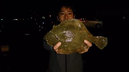 肉厚カレイの季節