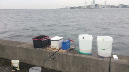 サビキ仕掛けで挑む！