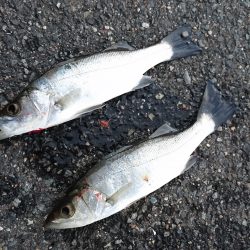 嵐の後の静けさ