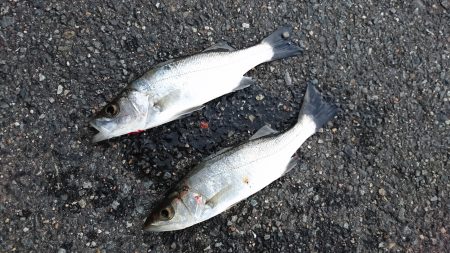 嵐の後の静けさ