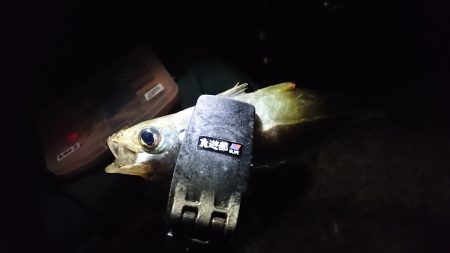 ちょっと釣りします。