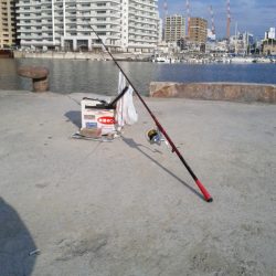 近場の明石港でキス狙い