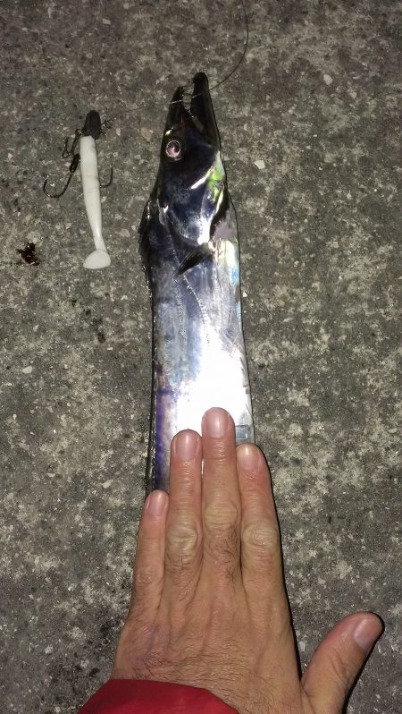 １日１本、エコな釣り？