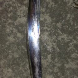 サゴシがタチウオに化けた？