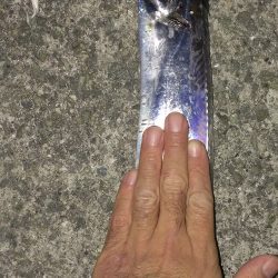 今日も１匹だけです… 。