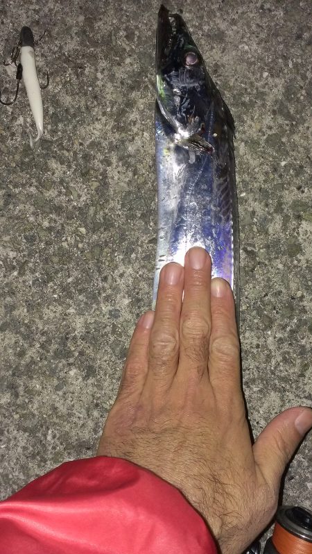 今日も１匹だけです… 。