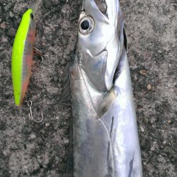 サイズダウン…