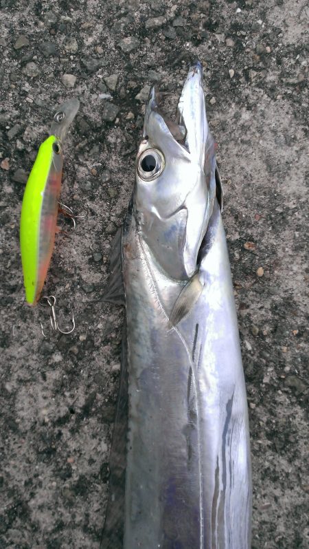 サイズダウン…