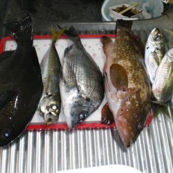 大漁！！記念日釣行