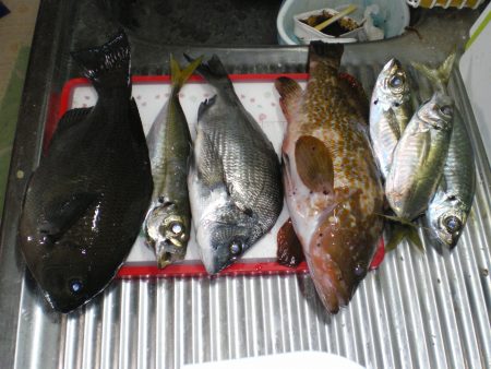 大漁！！記念日釣行