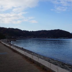 矢原：サゴシ祭り続報！！！