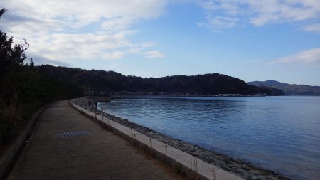 矢原：サゴシ祭り続報！！！