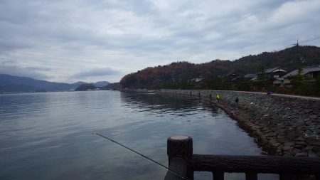 矢原：サゴシ情報