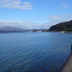 矢原～獅子：サゴシ情報