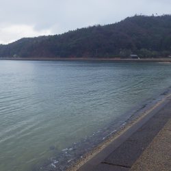 矢原・獅子サゴシ終盤戦？