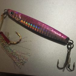 メジロ・カンパチ釣りたくて